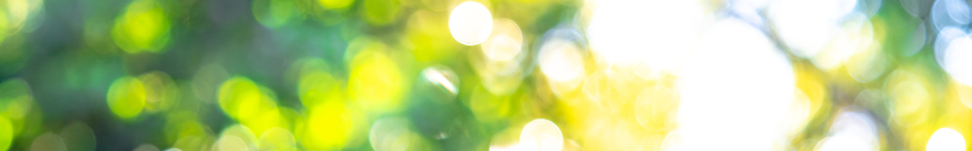 株式会社 YES Odawara